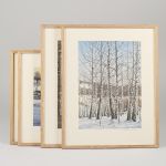 1715 5094 LITOGRAPHS IN ..